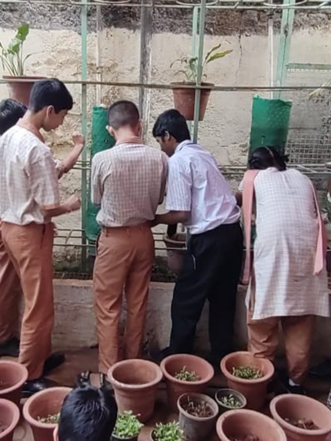 Aseema KMS Ecology Workshop 3