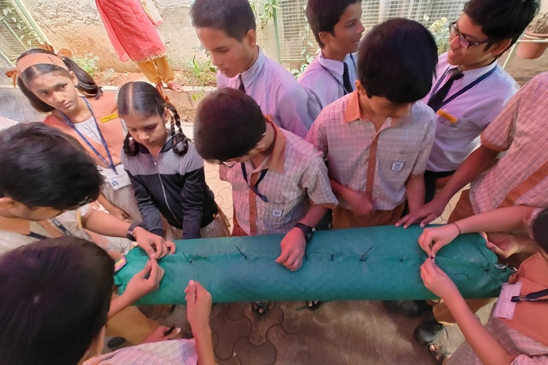 Aseema KMS Verticle Garden 3